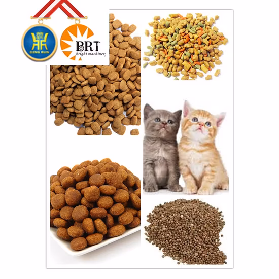 Chine Usine Animaux Chien Chat Flottant Aliments Pour Poissons Machine De Production De Granulés Snacks Transformation Des Aliments Faisant La Ligne D'extrusion