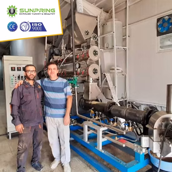 PRO Dry Wet Dog Pet Cat Animal Poulet Flottant Naufrage Nourriture pour poisson Pellet Making Machine Mill Maker Extrudeuse Équipement Granulateur Traitement Ligne de production